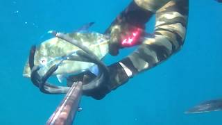 Hawaii Spearfishing quotLiquid Dreamsquot Ep26 [upl. by Irrahs349]