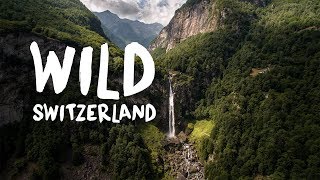 Wild Switzerland [upl. by Eittik147]