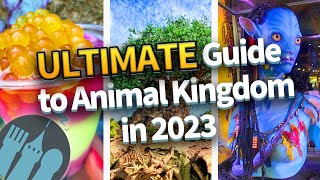 The ULTIMATE Guide to Animal Kingdom in 2023 [upl. by Tran711]