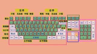 电脑初学者认识键盘和键盘正确打字方法 [upl. by Yslehc435]