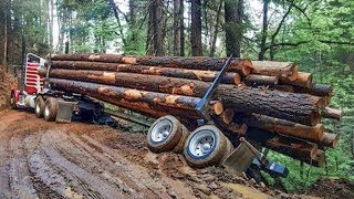 Dangerous Idiots Extreme Truck Fails Driving Heavy Equipment Logging Wood Truck Fail Idiots at Work [upl. by Erdnaek]