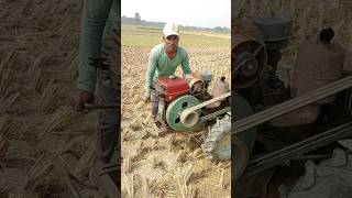 Power tillers are now used for many purposes in the agricultural sector agriculture shortvideo [upl. by Eilhsa321]