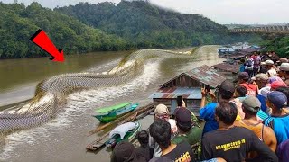 É por este motivo que o Rio Amazonas cria monstros [upl. by Lenod]