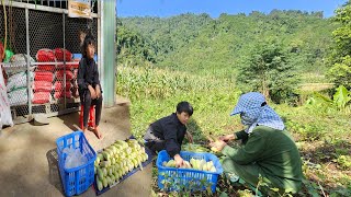 The orphan boy bought corn and then sold it retail to earn extra income [upl. by Avelin583]