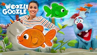 Was braucht man für ein Aquarium l WOOZLE GOOZLE [upl. by Adore493]