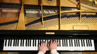 Walzer DesDur Chopin Op70 Nr3 CBechstein A228 [upl. by Ylnevaeh]