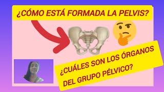 ¿Cómo está formada la pelvis¿Cuáles son los órganos del grupo Pélvico [upl. by Karissa]