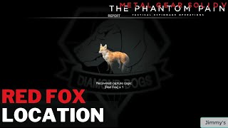 MGSV  Red Fox Location [upl. by Ysor]