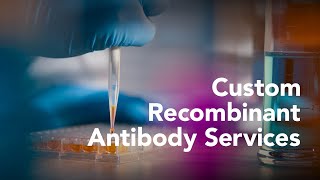 RampD Systems Custom Recombinant Antibody Services  BioTechne [upl. by Jervis]