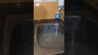 Kitchen tips and tricks sink tipkitchentips shortvideo [upl. by Herc571]