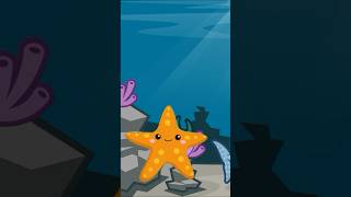 SAMMY THE STARFISH  Sea Life Facts toddlereducation forkids [upl. by Ycrep]