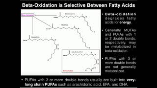 Unsaturated fatty acids [upl. by Cookie]