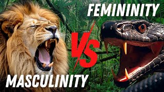 TOXIC Masculinity Vs Toxic FEMININITY [upl. by Anailuj]