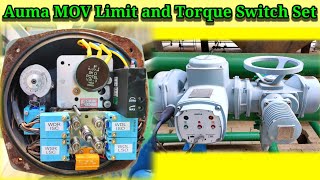 Auma MOV LimitTorque Switch Setting [upl. by Notrom]