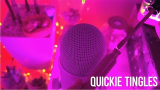 ASMR Quickie Tingles Lip Gloss Pumping Only  NO TALKING [upl. by Ainesell7]