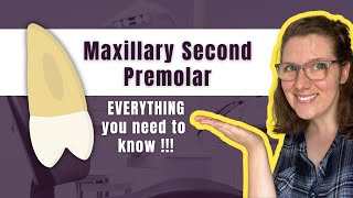 Maxillary Second Premolar  The Definitive Tooth Anatomy Study Guide for Dental Students [upl. by Odlopoel]