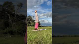 Headstand practicing yoga inversion horse running yoga horse fitness [upl. by Robbi]