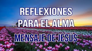 REFLEXIONES PARA EL ALMA  MENSAJE DE JESÚS [upl. by Ethyl]