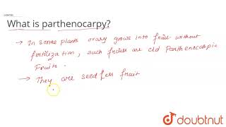 What is parthenocarpy [upl. by Enieledam]