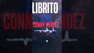 El Librito Azul de Conny Méndez Resumen y Claves de la Metafísica [upl. by Malvia]