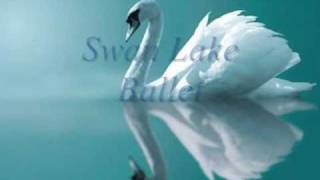 Swan Lake Ballet Tchaikovsky  Act IV XXVIII Scene amp XXIX Finale [upl. by Osmond980]