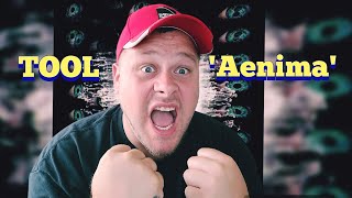 🔥Tool🔥 Aenima Reaction [upl. by Aikcin913]