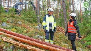 Katseet kotimaan leimikoissa  Metsälehti [upl. by Einaled]