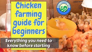 Chicken farming guide for beginners Everything you need to know before starting [upl. by Annahsohs]