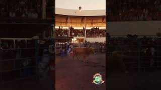 JARIPEO EN LOS ALTOS DE JALISCO shorts jalisco charros jaripeo [upl. by Sirod]