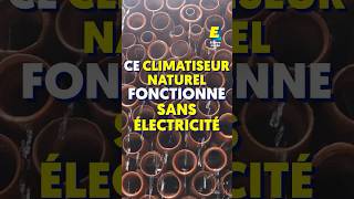 Ce climatiseur naturel fonctionne sans électricité  😲 shorts [upl. by Zannini611]