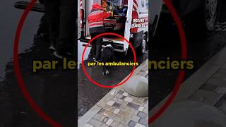 Ce chien ne veut pas laisser son maître et poursuit ce camion d’ambulance [upl. by Cohbert619]