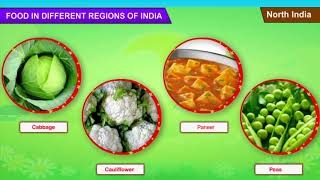 FOOD IN DIFFERENT REGIONS OF INDIA  Information [upl. by Ume]