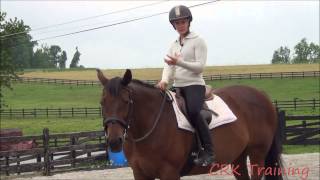 How to Move a Horses Hindquarters Under Saddle [upl. by Truman]