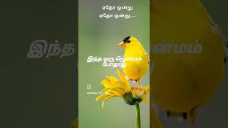 Vennilavai poovai vaipene💞✨vennilavai tamilsongs love [upl. by Bright]