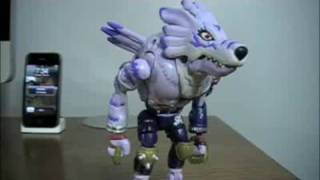 Digimon Adventure Digivolving Garurumon  SSJ Reviews 221 [upl. by Gipson]