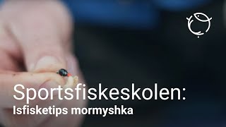 Isfiskeutstyr og tips til mormyshkafiske etter abbor [upl. by Nnylanna]