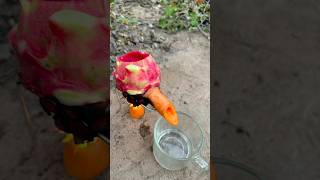 Survival Skills single mom steam bad water in Dragon Fruit camping bushcraft lifehacks outdoor [upl. by Aneres913]