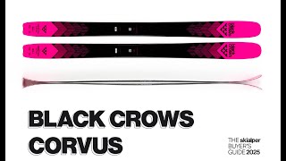 Black Crows Corvus review  The Skialper Buyers Guide 2025 [upl. by Py272]