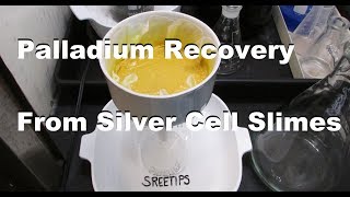 Palladium Recovery From Silver Cell Slimes pt1 [upl. by Mauricio]