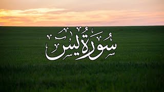 Surah Yasin Yaseen With Urdu Translation  Quran Tilawat Beautiful HD  سورة يس  part 94 [upl. by Pepin]