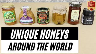 AMAZING HONEY TASTE TEST  FASCINATING Comparison  World’s BEST HONEY Tupelo Acacia Manuka [upl. by Kati]