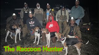 A Inside Look at a Group of Great Raccoon Hunters and Walker Hounds [upl. by Lukasz]