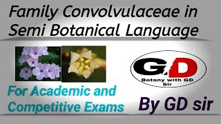 Description of Family Convolvulaceae in Semi Botanical LanguageIpomoea fistulosa TheoryPractical [upl. by Konstantine]