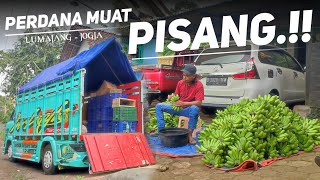 🔴MUATAN KEMANAPUN AKU TAMPUNG Meski truk tua [upl. by Glialentn]