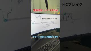 【FX環境認識】シナリオ作成 投資 ダウ理論 チャートパターンfx トレード手法 [upl. by Irahs]