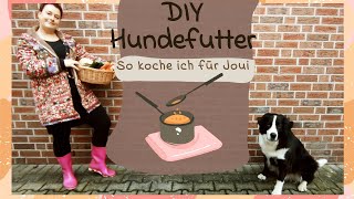 quotDIYquot Hundefutter selber kochen [upl. by Ecnerwal850]