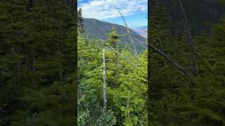 Appalachian Trail views newengland backpacking [upl. by Wolfy]