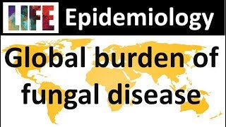 Global burden of fungal disease [upl. by Ydennek661]