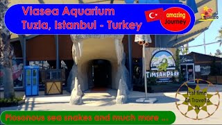 ViaSea Aquarium  TUZLA MARİNA AKVARYUM  Amazing sea creatures  Prefect family entertainment park [upl. by Arleen]