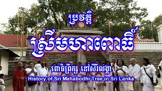 ប្រវត្តិ ស្រីមហាពោធិ នៅសិរីលង្កា  ពោធិព្រឹក្ស្  History of Sri Mahabodhi tree in Sri Lanka [upl. by Schroer]